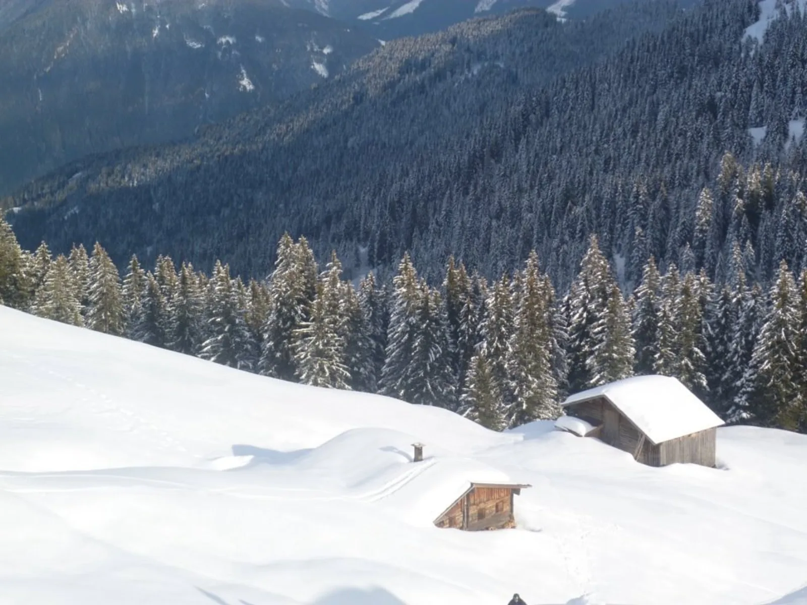 Österreich-Skifahren