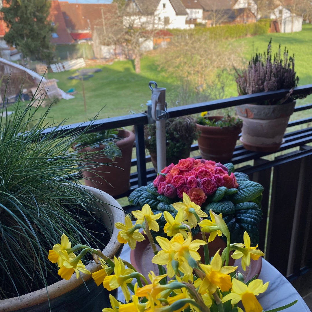 Balkon mit Aussicht auf Garten